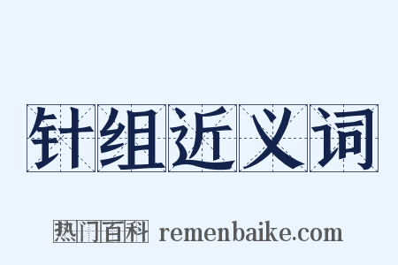 针组近义词是什么意思的图片